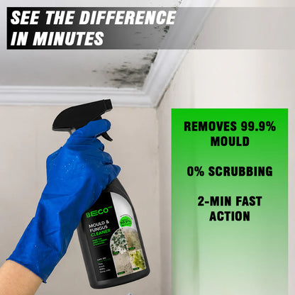 Mould & Fungus Cleaner
