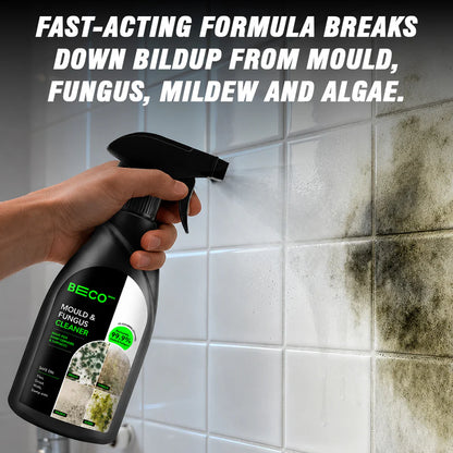 Mould & Fungus Cleaner