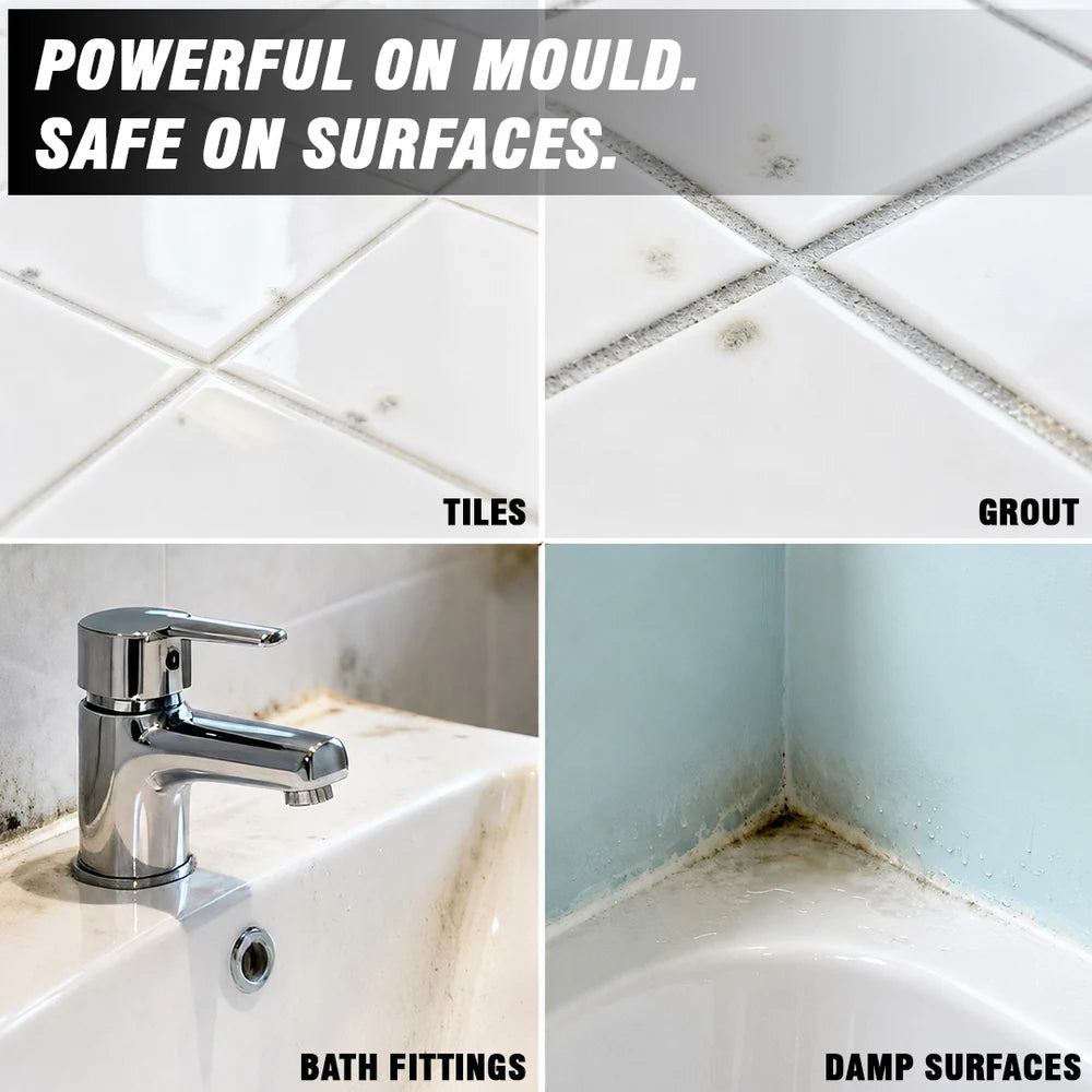 Mould & Fungus Cleaner