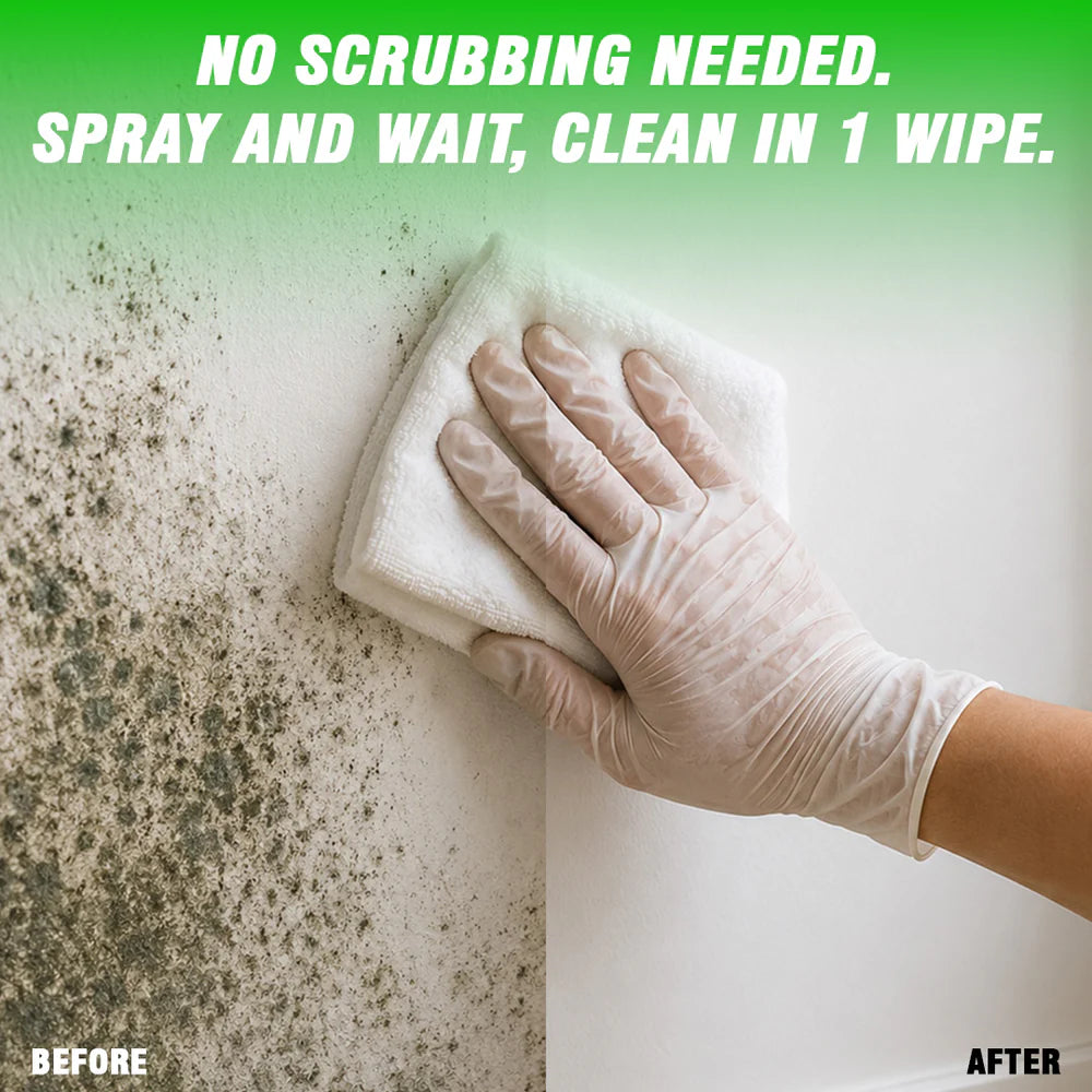 Mould & Fungus Cleaner